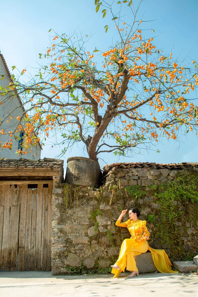 Cây hồng trăm tuổi “làm mưa làm gió” ở Ninh Bình, mãn nhãn những bộ ảnh trong trang phục Việt