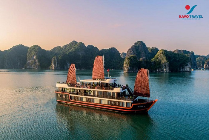 Kavo Travel là đơn vị tổ chức tour du thuyền Hạ Long uy tín hàng đầu tại Hà Nội