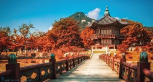 Du lịch Hàn Quốc nên đi của công ty nào?
