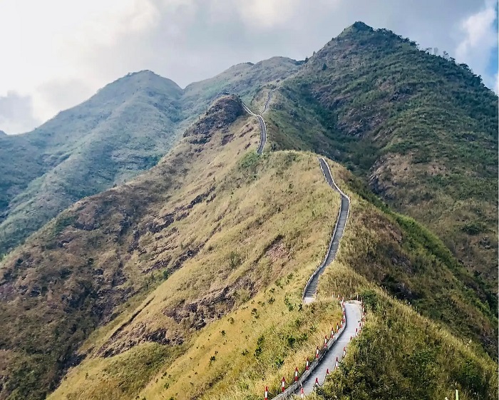 Sống lưng khủng long 