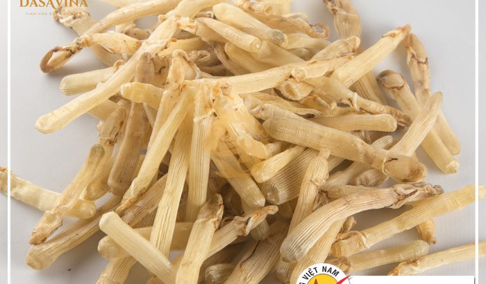 Tìm hiểu tác dụng của sá sùng khô – “Thần dược” quý báu