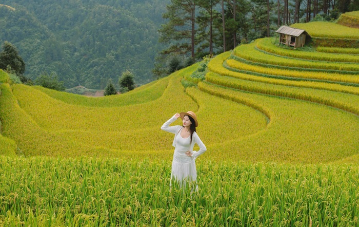 Mù Cang Chải đẹp quanh năm, mỗi mùa mang một nét rất riêng