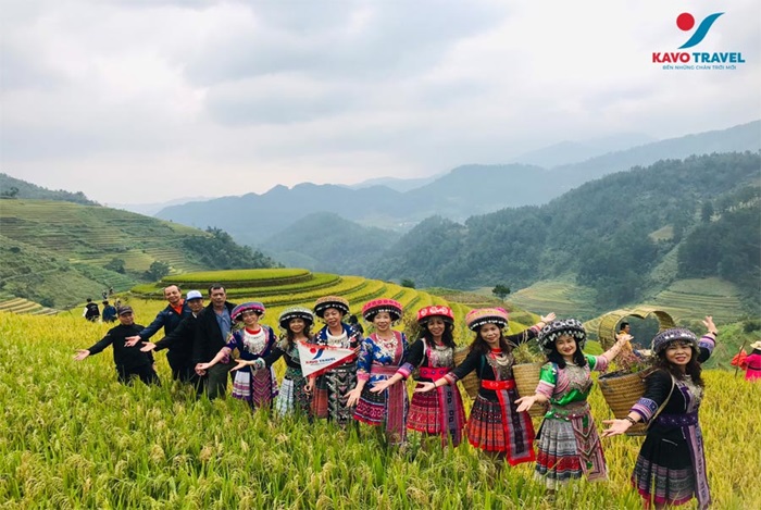 Kavo Travel là đơn vị tổ chức tour du lịch Mù Cang Chải uy tín hiện nay
