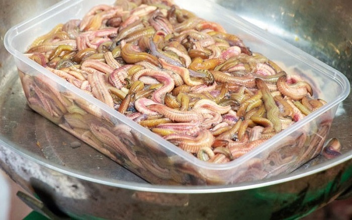Nắm rõ các tiêu chí lựa chọn rươi cấp đông đảm bảo chất lượng