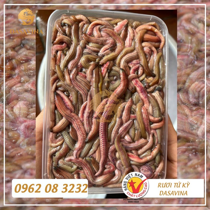 Nhu cầu mua rươi cấp đông tại TPHCM ngày càng tăng